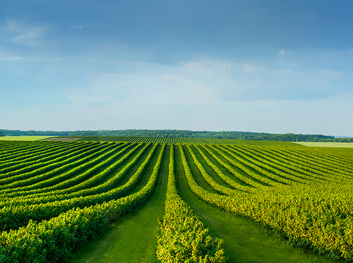 Precision Farming: Steuerung der Aussaatmenge mit Proportionalventiltechnik
