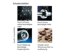 Durch Zustandsüberwachung erkennbare Schäden